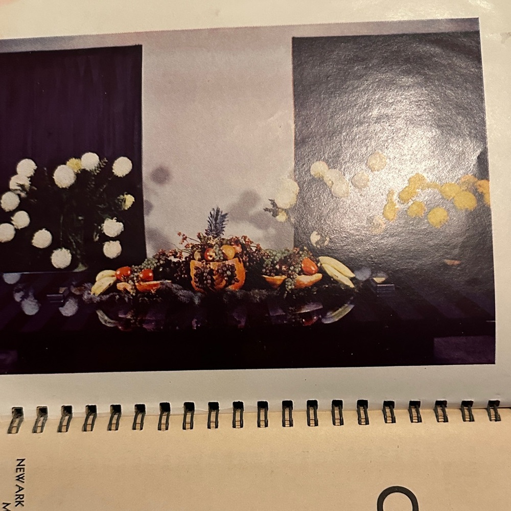 Vintage J. R. Watkins Blue Cook Book - Picture 4 of 11